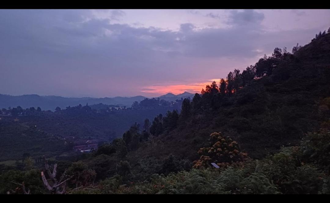 Joy House - 1 Bhk Cozy Entire House (Adults Only) Villa Ooty Eksteriør bilde